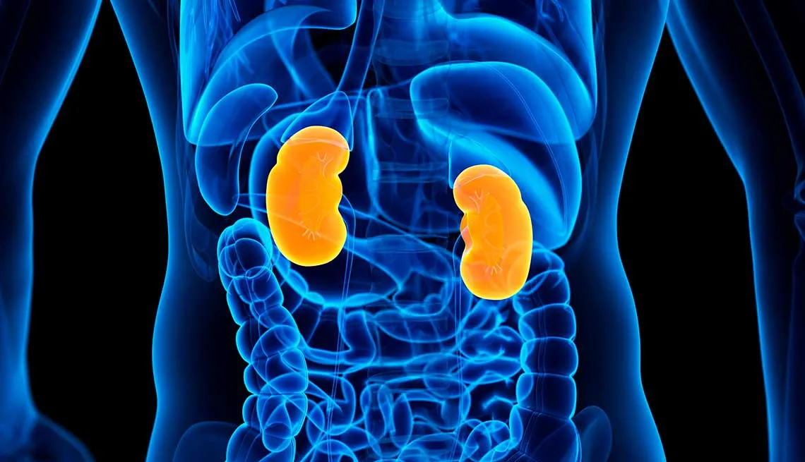Insuficiencia renal tratamiento integral