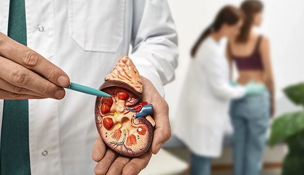 Médico especialista en medicina interna