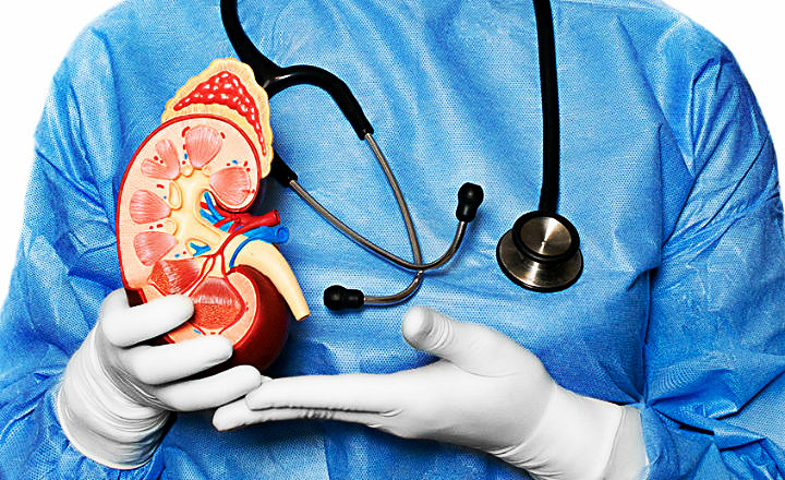 Nefrólogo especialista en biopsia renal